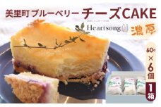美里町ブルーベリーチーズCAKE　1箱（60g×6個） [No.190]