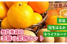 無農薬栽培　季節の果物セット [No.203]