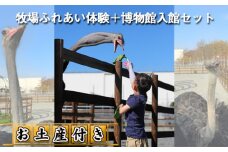 牧場ふれあい体験＋博物館入館セット【お土産付き】 ／ ダチョウ チケット オーストリッチ 送料無料 埼玉県 [No.210]