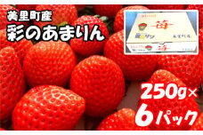 美里町産いちご6P【彩のあまりん】（250g以上×6パック） ／ 苺 イチゴ 果物 フルーツ 埼玉県 特産品 [No.217]
