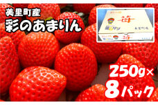 美里町産いちご8P【彩のあまりん】（250g以上×8パック） ／ 苺 イチゴ 果物 フルーツ 埼玉県 特産品 [No.218]