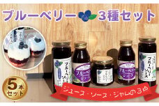 ブルーベリー加工品フルセット ／ 無農薬 ブルーベリージュース ブルーベリーソース ブルーベリージャム 詰合せ 埼玉県 特産品 [No.228]