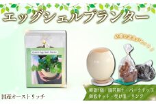 国産オーストリッチエッグシェルプランター ／ ダチョウ だちょう 卵 殻 貴重 園芸 植物 ガーデン 植栽 花 用土 バークチップ 鉢底ネット 受け皿 リング 趣味 可愛い おしゃれ 埼玉県 [No.231] 