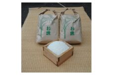 ＜令和3年産＞埼玉県産　キヌヒカリ　精米5kg×2袋　計10kg【1275155】