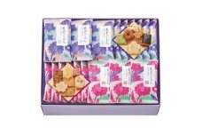 埼玉県上里町産　花色しおん　40袋【1118494】