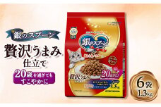 銀のスプーン 贅沢うまみ仕立て 20歳を過ぎてもすこやかに 1.3kg×6袋【1463336】