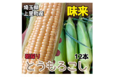 とうもろこし＜味来＞2L　12本　【1473338】