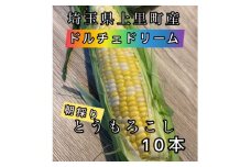 ＜先行受付2025年夏発送＞上里町産とうもろこし　ドルチェドリーム2L×10本　計5kg(梱包込み)【1564849】