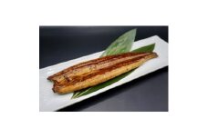 上里育ちの侍うなぎ蒲焼き 150g×5尾【1636367】