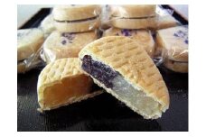 白あん＆黒あん入り！栗が入った宝もなか（10個）