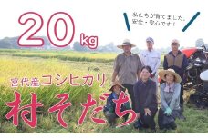 【宮代町】新しい村で育てた  コシヒカリ「村そだち」令和７年産新米 ２０ｋｇ