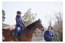乗馬体験１回コース