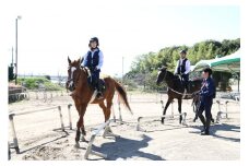 ペア家族限定乗馬体験１回コース
