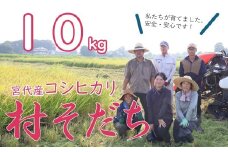 【宮代町】新しい村で育てた  コシヒカリ「村そだち」令和７年産新米   １０ｋｇ