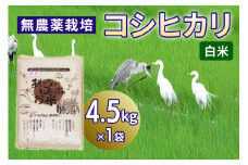 無農薬栽培 コシヒカリ《白米》4.5kg｜おいしい お米 コメ こめ ご飯 ごはん 白米 玄米 お取り寄せ 直送 贈り物 贈答品 ふるさと納税 埼玉 杉戸 [0562]