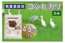 無農薬栽培 コシヒカリ《白米》4.5kg｜おいしい お米 コメ こめ ご飯 ごはん 白米 玄米 お取り寄せ 直送 贈り物 贈答品 ふるさと納税 埼玉 杉戸 [0562]