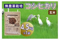 無農薬栽培 コシヒカリ《玄米》4.5kg｜おいしい お米 コメ こめ ご飯 ごはん 白米 玄米 お取り寄せ 直送 贈り物 贈答品 ふるさと納税 埼玉 杉戸 [0563]