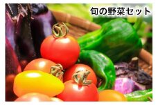 旬の野菜セット｜新鮮 産直 農家 直送 野菜 埼玉 杉戸 [0206]