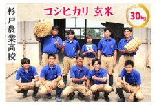 コシヒカリ (玄米) 30kg 農業高校生が本気で育てた逸品！埼玉県立杉戸農業高等学校 生物生産技術科 作物専攻 ※色彩選別済！｜数量限定 期間限定 米 おこめ うるち米 玄米 ご飯 ごはん 農業高校 杉戸農業 高校生 実習 応援 こしひかり 米俵 SDGS 国産 埼玉県 さいたま 杉戸町 [0536]