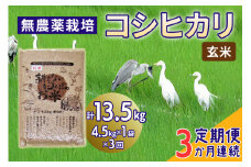 [定期便／3ヶ月] 無農薬栽培 コシヒカリ《玄米》計13.5kg (4.5kg×3ヶ月連続)｜おいしい お米 コメ こめ ご飯 ごはん 白米 玄米 お取り寄せ 直送 贈り物 贈答品 ふるさと納税 埼玉 杉戸 [0566]