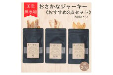 犬用おやつ 国産無添加おさかなジャーキー 30g入り×3点セット(マグロ、タイ、ヒラメ)｜ふるさと納税 ペット ペット用品 愛犬用 犬 犬用 ドッグフード ペットフード おさかな 魚 無添加 安心 安全 国産 おやつ ジャーキー 高タンパク 鉄分 低脂質 低アレルゲン 小型犬 中型犬 大型犬 ごはん わんこ わんちゃん 新鮮 ヘルシー 海鮮 犬のごはん 犬のおやつ 手作りおやつ [0591]