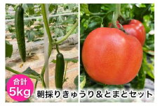 朝採りきゅうり＆とまとセット｜新鮮 産直 農家 直送 トマト キュウリ 野菜 埼玉 杉戸 [0205]