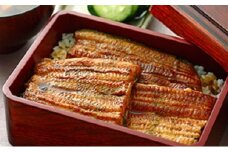 [推奨特産品]川昌　うなぎ蒲焼真空パック（2人前）