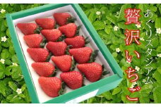 贅沢いちご　15粒入り　1箱