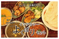 印度料理シタール インドカレーよくばりセット【カレー 加工食品 レトルト食品】[№5346-0056]