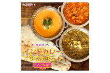 印度料理シタール インドカレー大ごちそうセット【カレー 加工食品 レトルト食品】[№5346-0058]