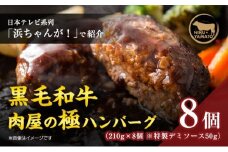 自家製ー極ーハンバーグ（8個入り）【 お肉 ハンバーグ 黒毛和牛 真空冷凍 】 [№5346-0025]