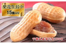 楽花生最中15個入り【お菓子・スイーツ・焼菓子・最中・もなか・モナカ】[№5346-0031]