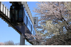 貸切列車（全線プラン）【 体験チケット 貸切列車 チケット モノレール 】[№5346-0083]