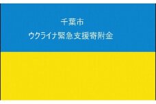 【お礼の品なし】千葉市ウクライナ避難民支援寄附金（1口2,000円より） [№5346-0121]