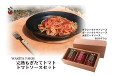 完熟もぎたてトマト　トマトソースセット【千ブランド トマト リゾット】[№5346-0242]