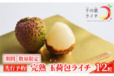【千の葉ライチ】の 完熟 玉荷包ライチ （先行予約）【果物 フルーツ デザート】[№5346-0309]