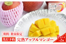 【千の葉ライチ】完熟アップルマンゴーL×2果入 （先行予約）【マンゴー フルーツ 高級果実 国内】[№5346-0310]