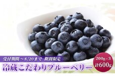 猪野ナーセリーのこだわりブルーベリー　200g×3【フルーツ ご褒美 千ブランド 】[№5346-0335]