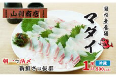 千葉市場直送　朝一活〆！マダイ1尾分（皮付ロイン・スキンレスロイン）[№5346-0367]