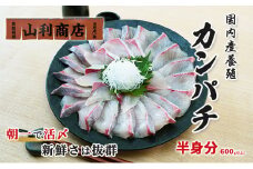 千葉市場直送　朝一活〆！カンパチ半身分（スキンレスロイン）[№5346-0368]