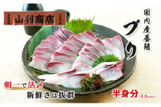 千葉市場直送　朝一活〆！ブリ半身分（スキンレスロイン）[№5346-0369]