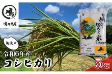 コシヒカリ 乾式無洗米 5kg 令和6年産 [№5346-0383]