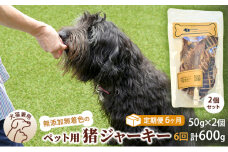 （６回定期便）千葉県で獲れた猪ペット用ジャーキー(2個セット）１００g [№5346-0351]