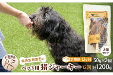（１２回定期便）千葉県で獲れた猪ペット用ジャーキー(2個セット）１００g [№5346-0353]