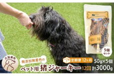（１２回定期便）千葉県で獲れた猪ペット用ジャーキー(５個セット）２５０g [№5346-0357]