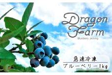 急速冷凍　ブルーベリー　1Kg[№5346-0415]