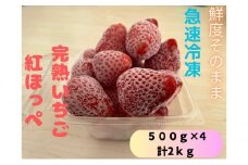 鮮度そのまま！！急速冷凍完熟いちご（紅ほっぺ）500g×4袋セット ふぁいんファーム [№5346-0441]