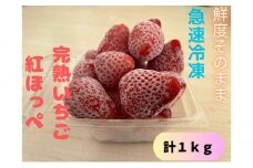 鮮度そのまま！！急速冷凍完熟いちご(紅ほっぺ)1kg ふぁいんファーム [№5346-0442]
