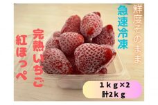 鮮度そのまま！！急速冷凍完熟いちご(紅ほっぺ)1kg×2袋セット ふぁいんファームム [№5346-0443]
