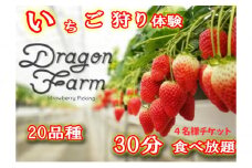 いちご狩り4名用チケット [№5346-0519]